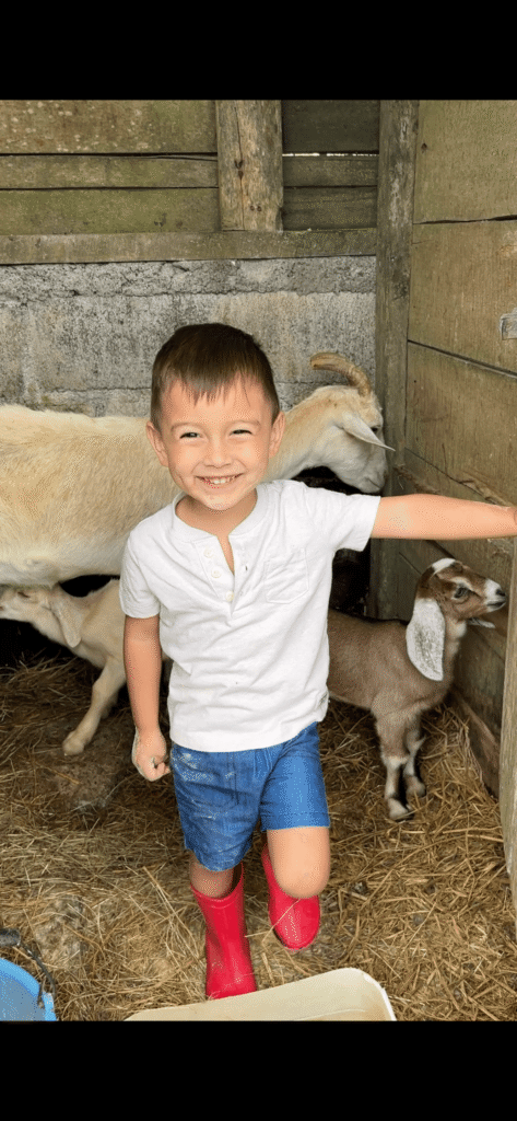 Happy child interacting with goats on a family farm tour at Tuete Farm