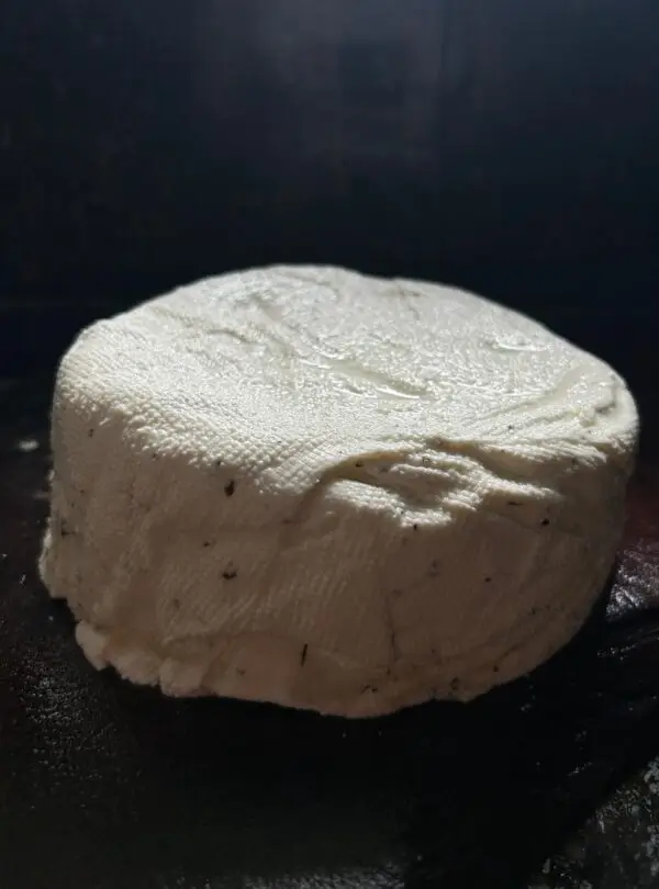 Fresh artisan goat cheese from Finca El Tuete, La Fortuna, Costa Rica