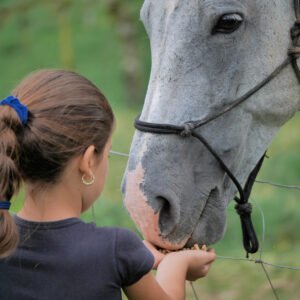 Tico farm tour Kid feeding a horse at Tuete Farm Tours Costa Rica