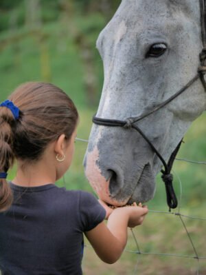 Kid feeding a horse at Tuete Farm Tours Costa Rica