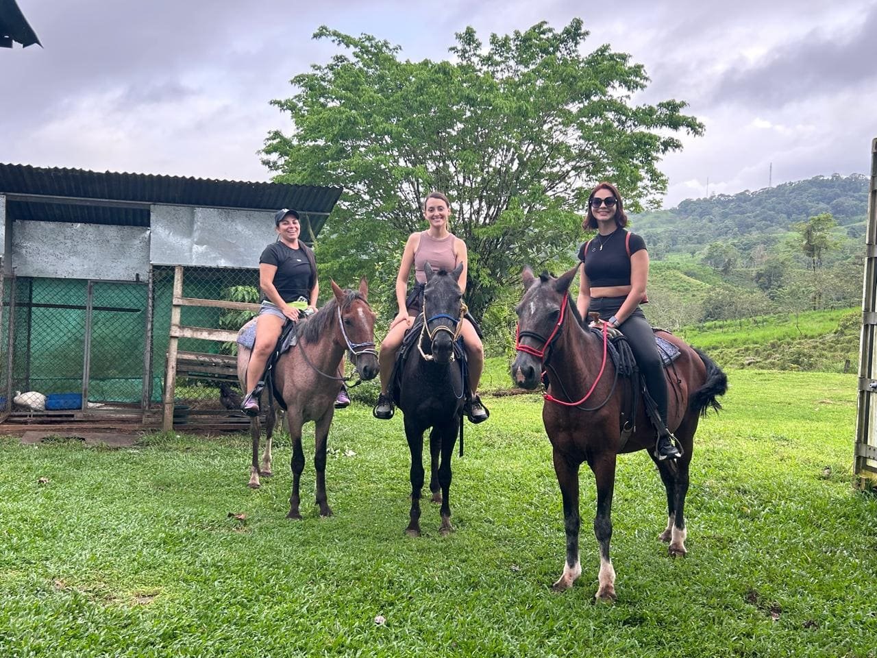 HORSEBACK FARM RIDE ARENAL
