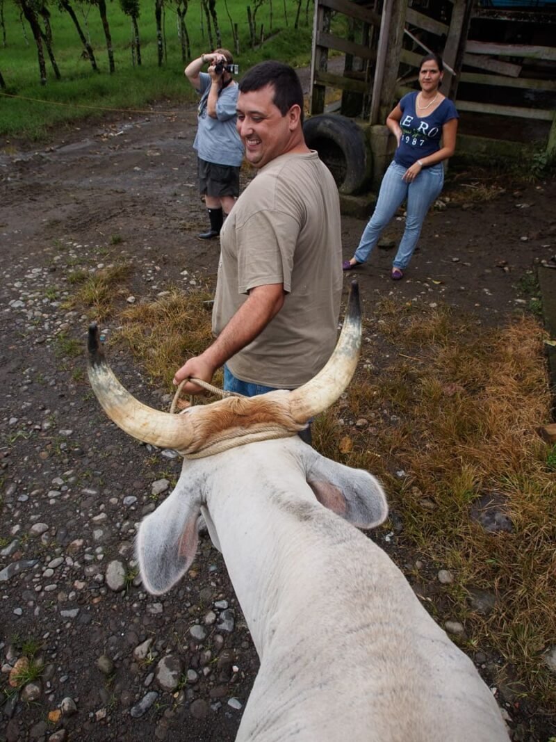 TICO FARM MORNING TOUR