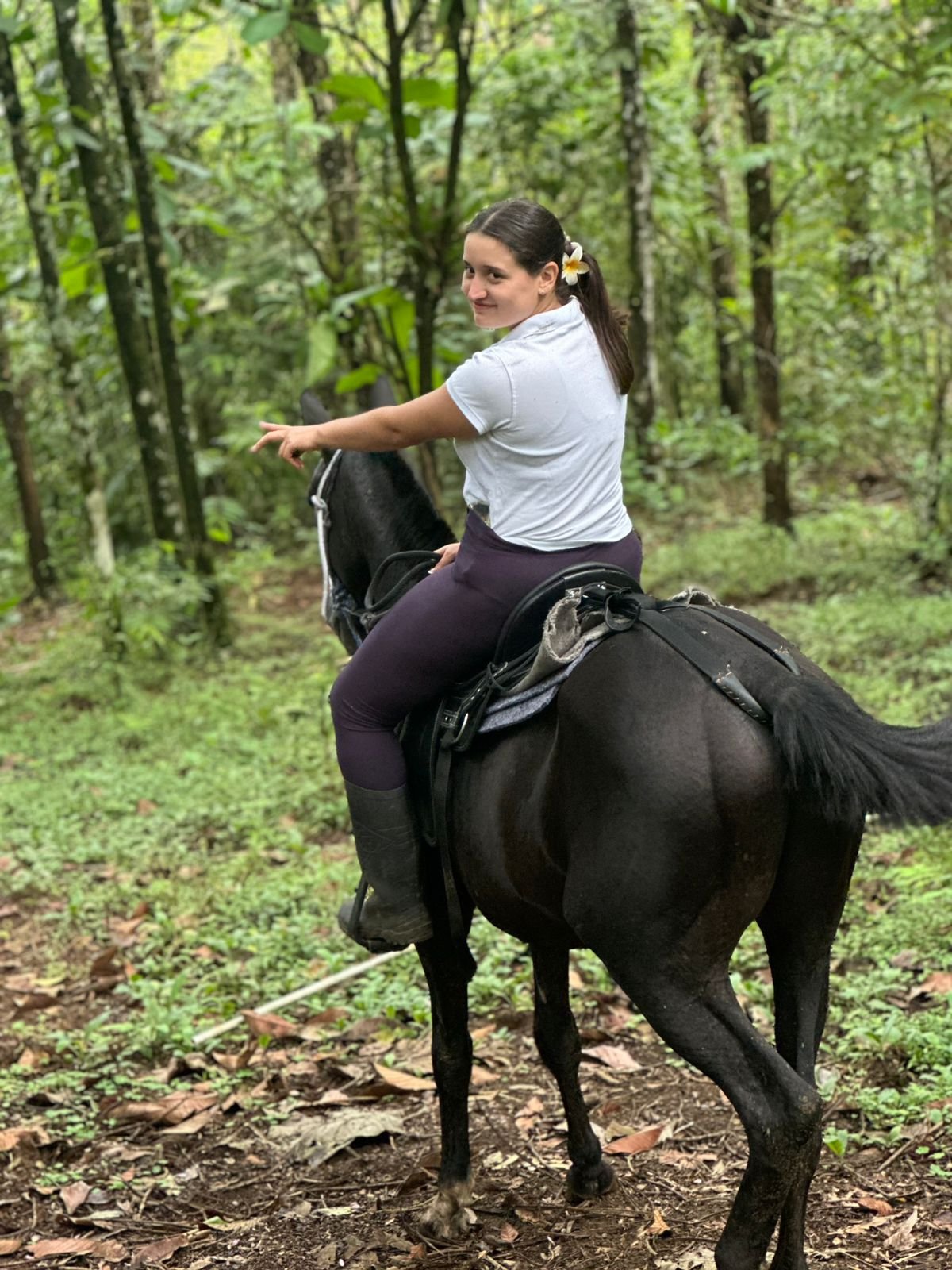 HORSEBACK FARM RIDE ARENAL