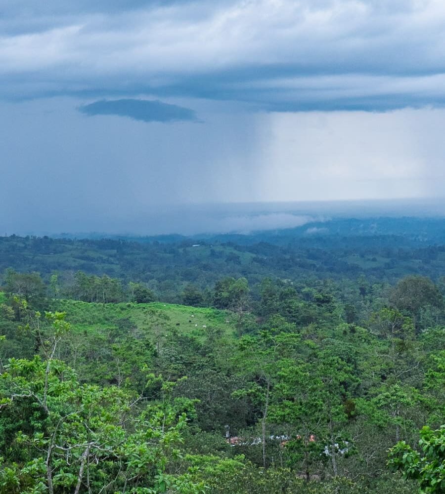 HORSEBACK FARM RIDE ARENAL