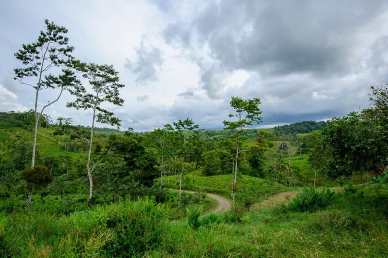 TICO FARM AFTERNOON TOUR