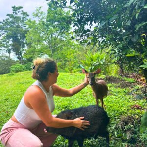 asd 🍃DAY PASS TUETE