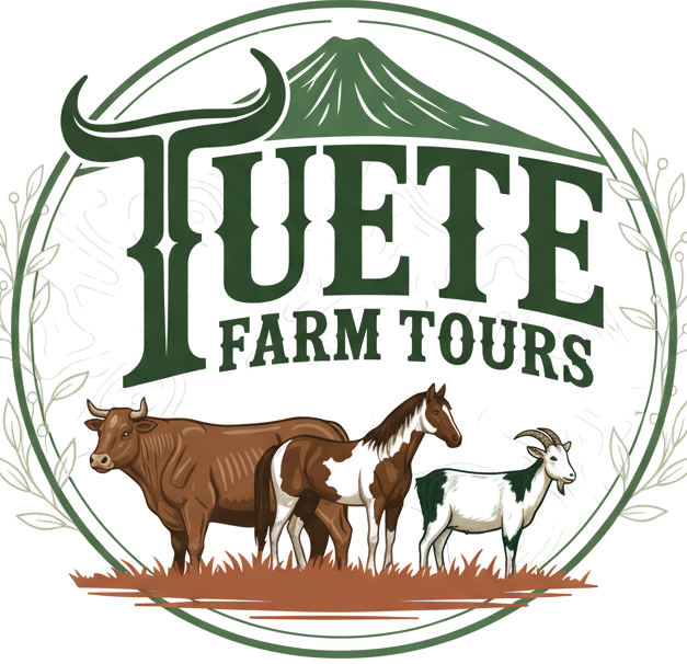 Authentic Family Farm Tour La Fortuna Costa Rica - Tuete Farm Tours Logo