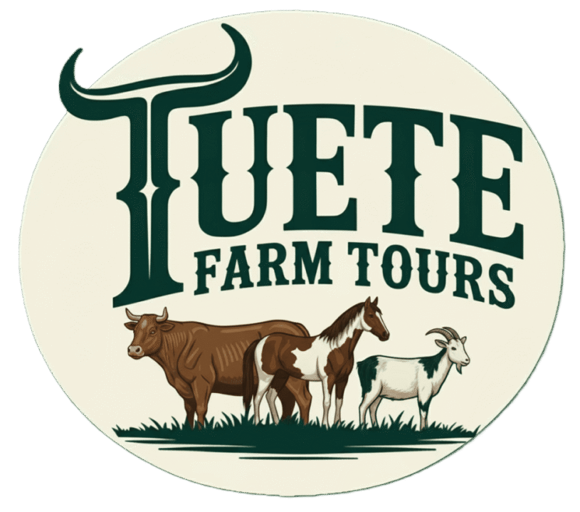 Tuete Farm Tours