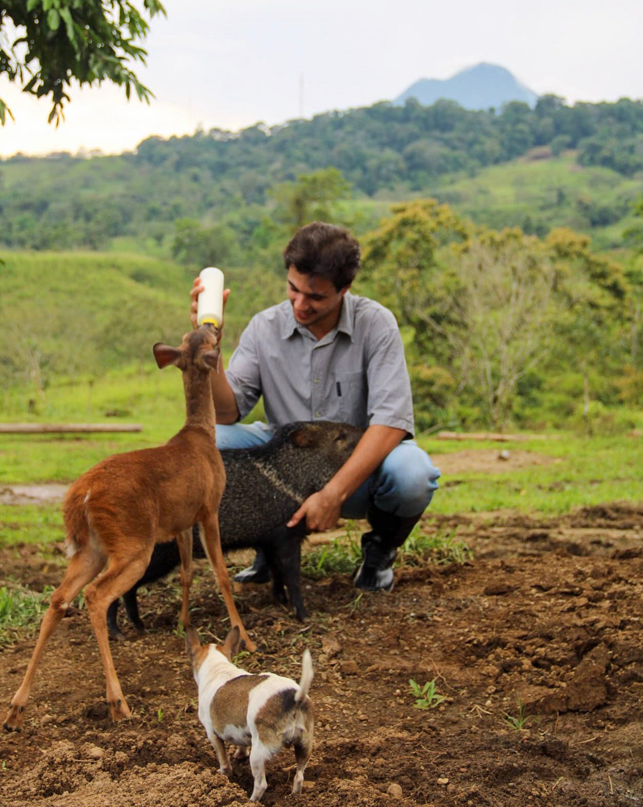 HORSEBACK FARM RIDE ARENAL