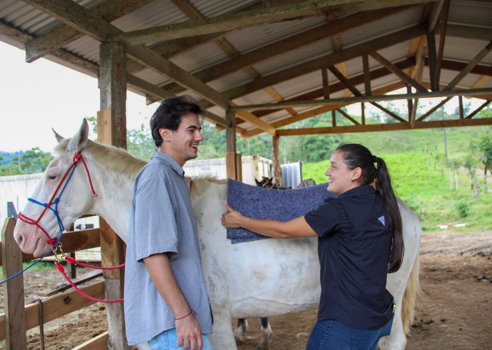 HORSEBACK FARM RIDE ARENAL