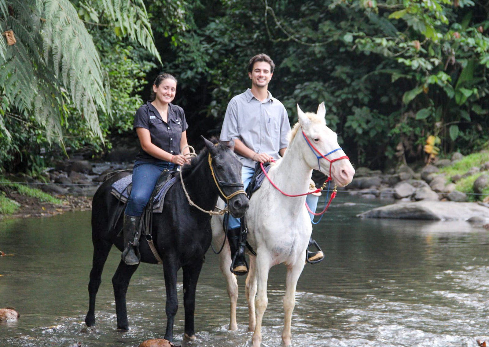 HORSEBACK FARM RIDE ARENAL