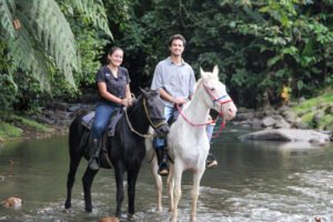 HORSEBACK FARM RIDE ARENAL