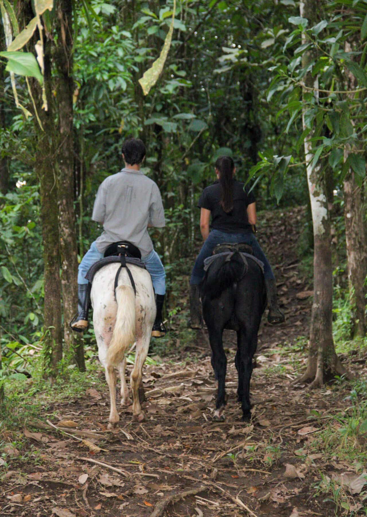 HORSEBACK FARM RIDE ARENAL