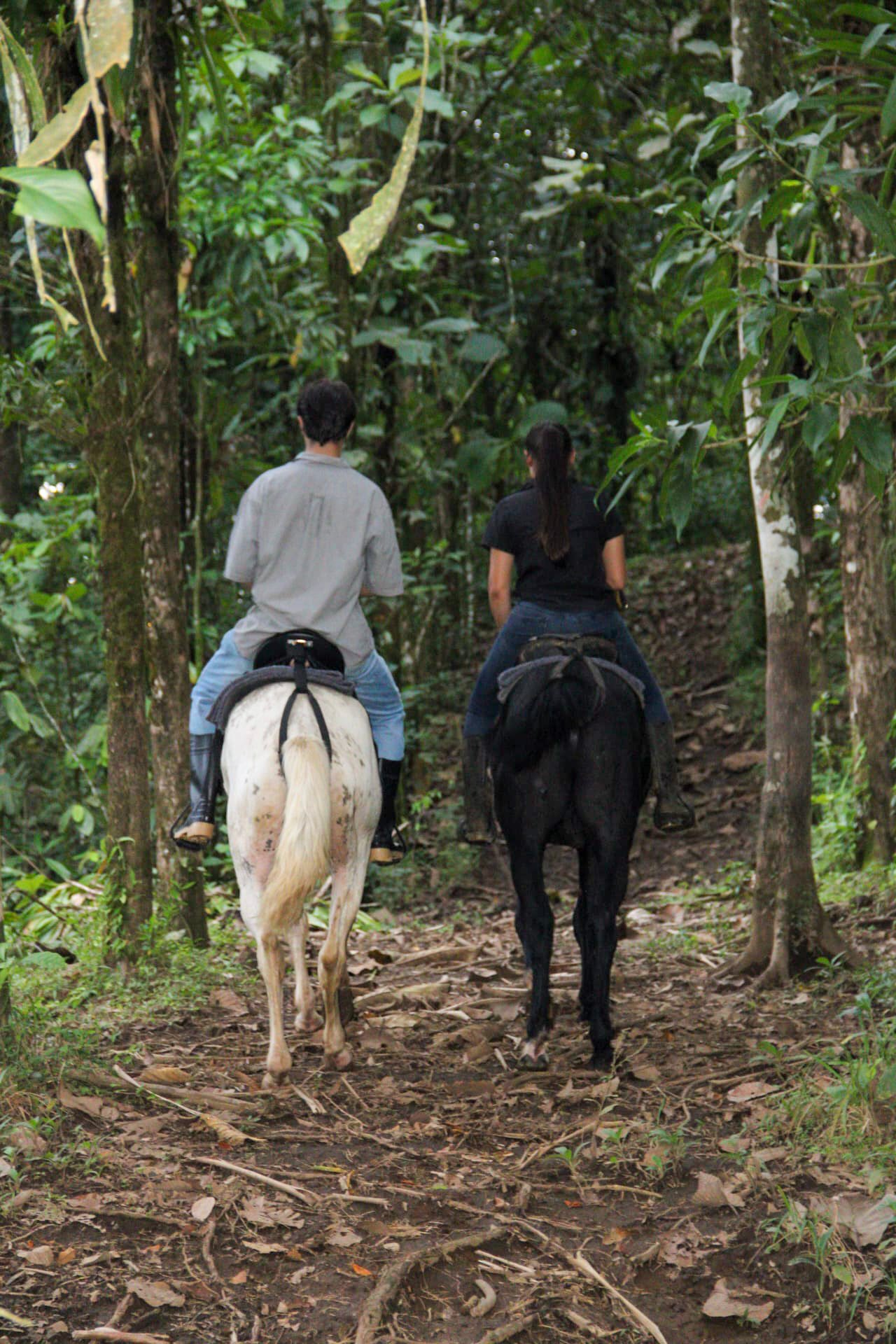 HORSEBACK FARM RIDE ARENAL