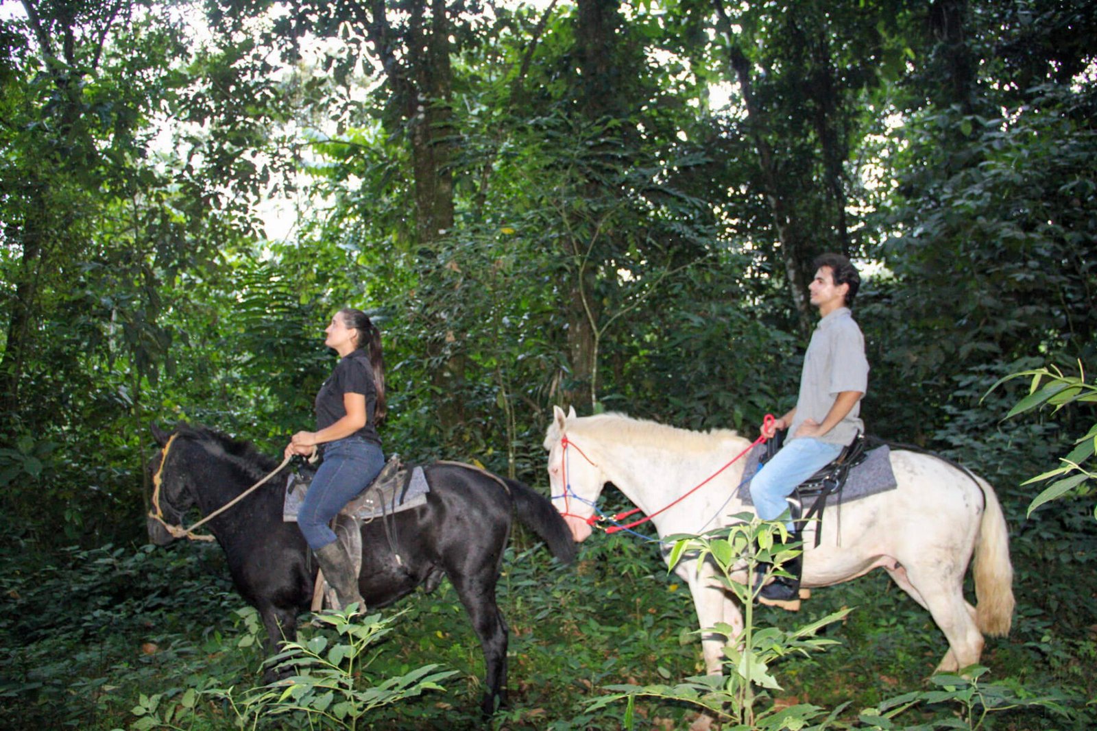HORSEBACK FARM RIDE ARENAL