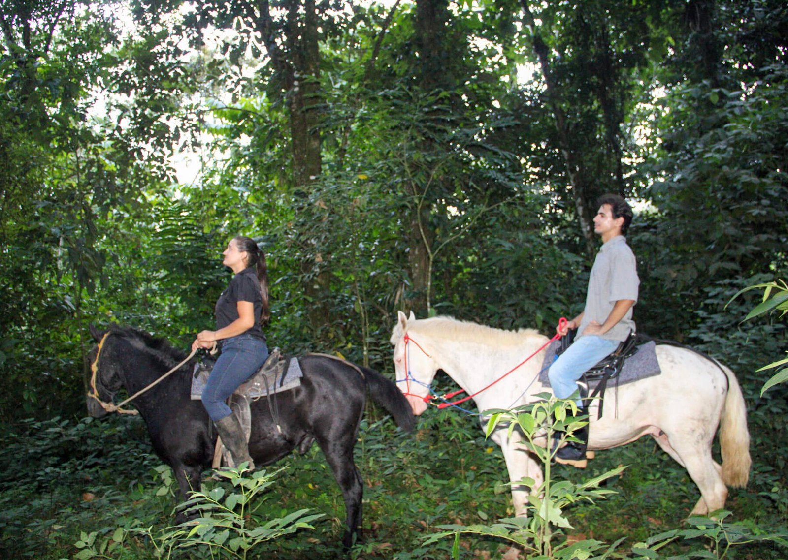 HORSEBACK FARM RIDE ARENAL