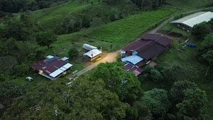 Main Tuete Farm Tours place picture